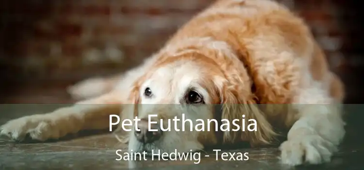 Pet Euthanasia Saint Hedwig - Texas