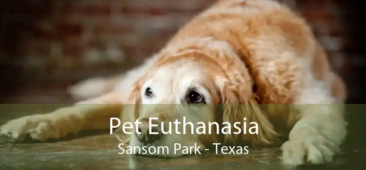 Pet Euthanasia Sansom Park - Texas
