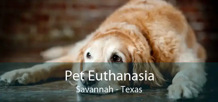Pet Euthanasia Savannah - Texas