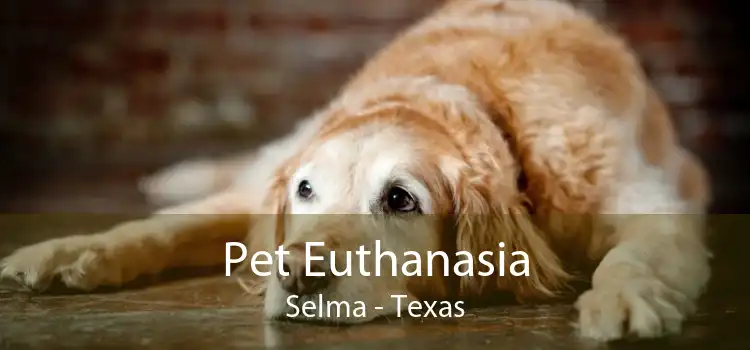 Pet Euthanasia Selma - Texas