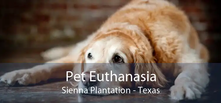 Pet Euthanasia Sienna Plantation - Texas