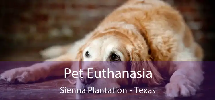 Pet Euthanasia Sienna Plantation - Texas