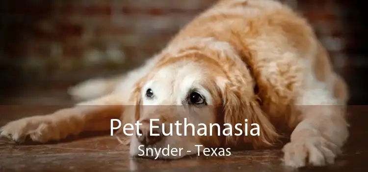Pet Euthanasia Snyder - Texas