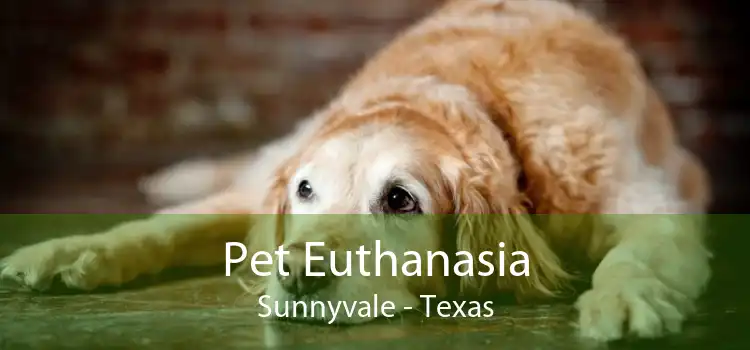 Pet Euthanasia Sunnyvale - Texas