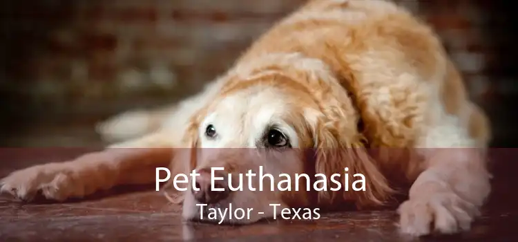 Pet Euthanasia Taylor - Texas