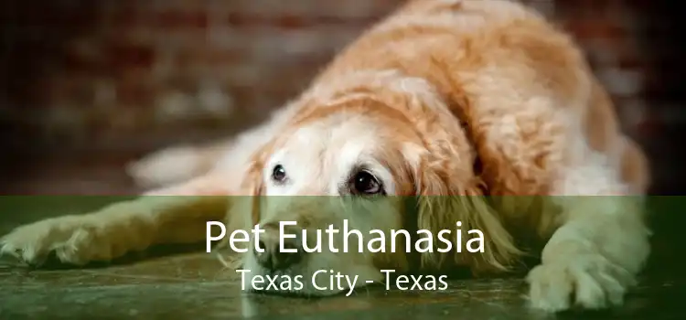 Pet Euthanasia Texas City - Texas