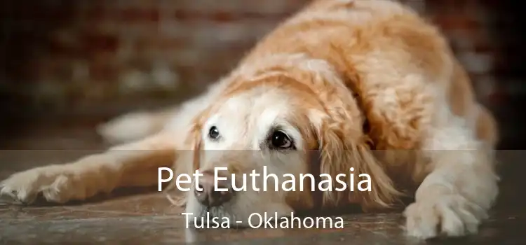 Pet Euthanasia Tulsa - Oklahoma