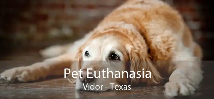Pet Euthanasia Vidor - Texas