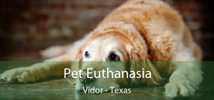 Pet Euthanasia Vidor - Texas