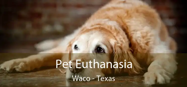 Pet Euthanasia Waco - Texas