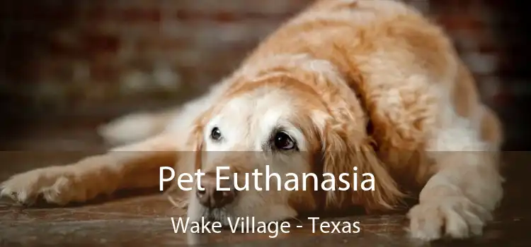 Pet Euthanasia Wake Village - Texas