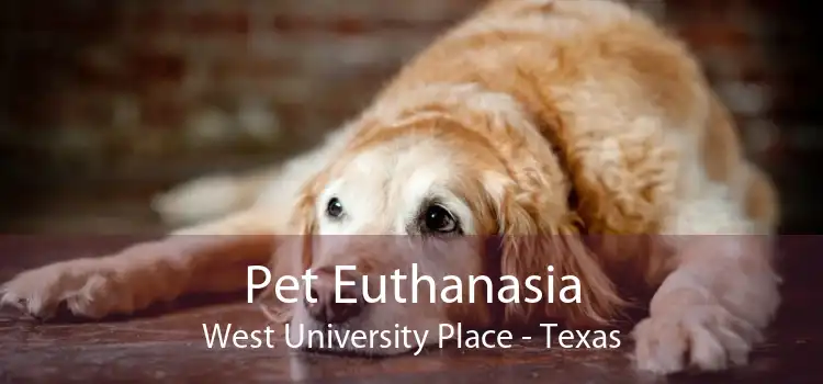 Pet Euthanasia West University Place - Texas