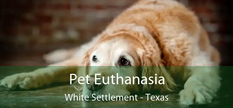 Pet Euthanasia White Settlement - Texas