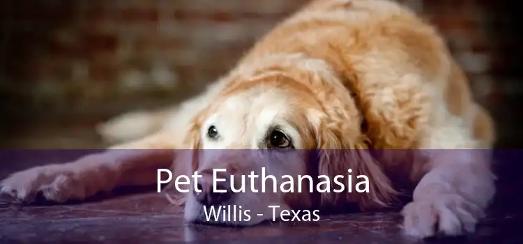 Pet Euthanasia Willis - Texas