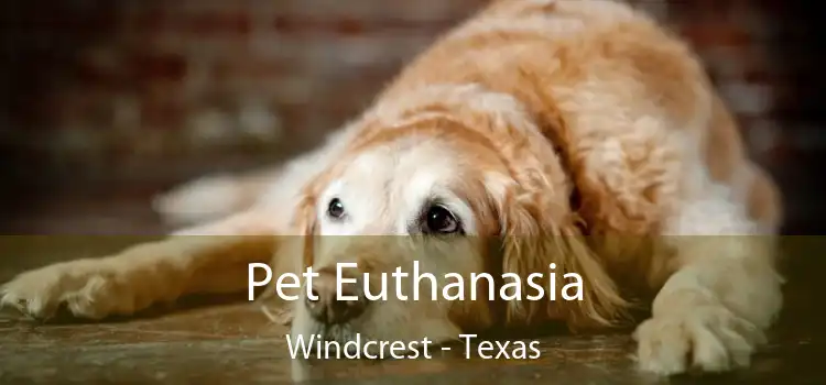 Pet Euthanasia Windcrest - Texas