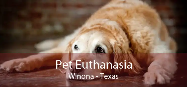 Pet Euthanasia Winona - Texas