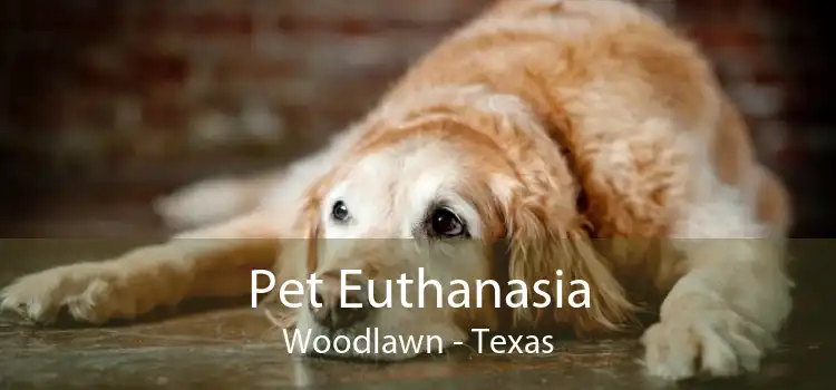 Pet Euthanasia Woodlawn - Texas