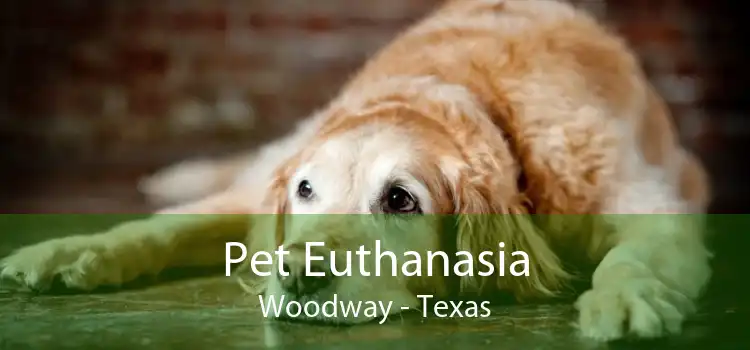 Pet Euthanasia Woodway - Texas