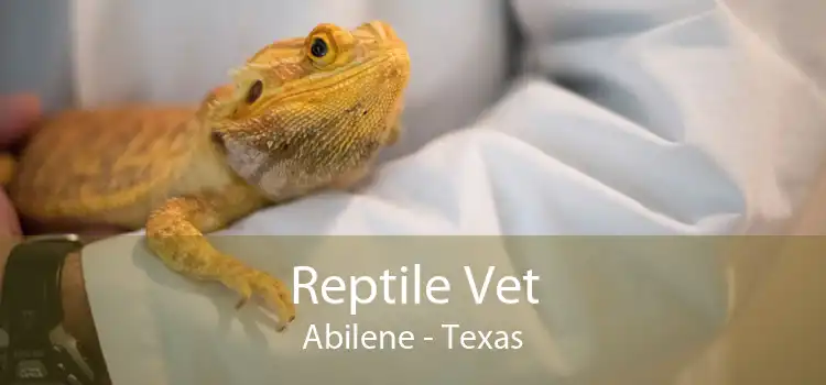 Reptile Vet Abilene - Texas