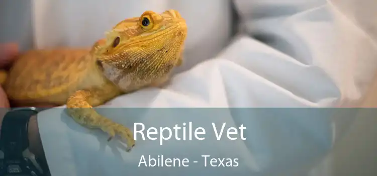 Reptile Vet Abilene - Texas