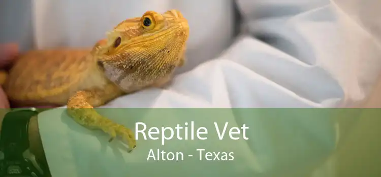 Reptile Vet Alton - Texas