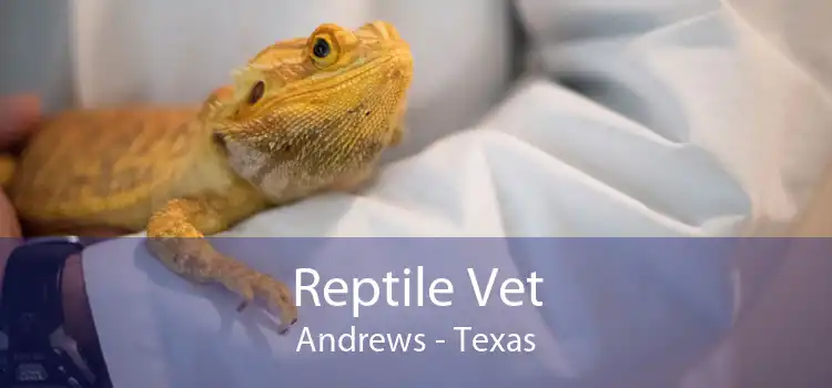 Reptile Vet Andrews - Texas