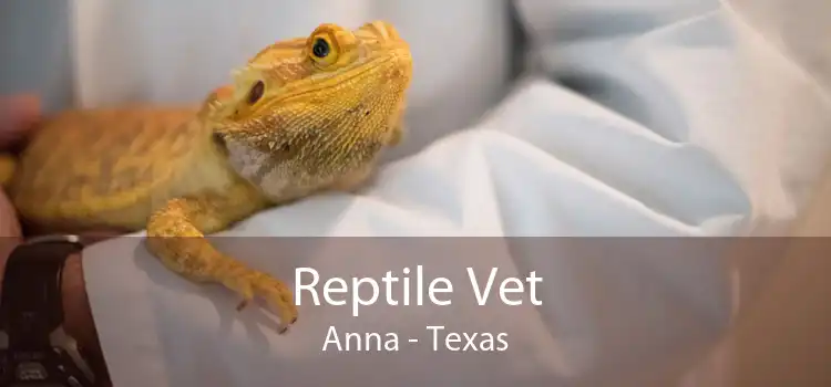 Reptile Vet Anna - Texas
