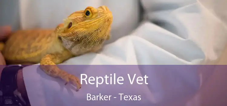 Reptile Vet Barker - Texas