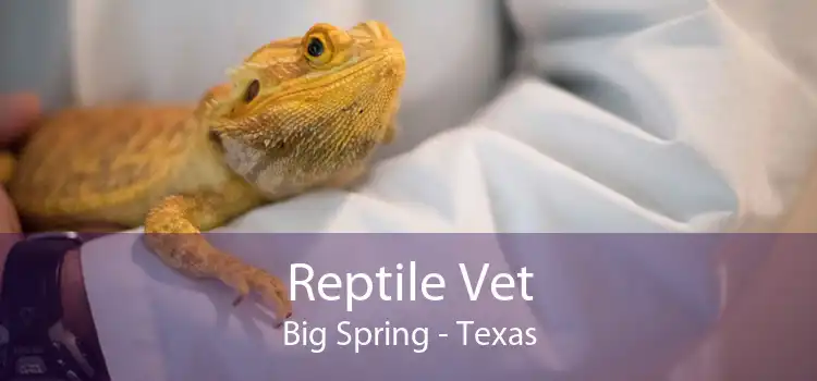 Reptile Vet Big Spring - Texas