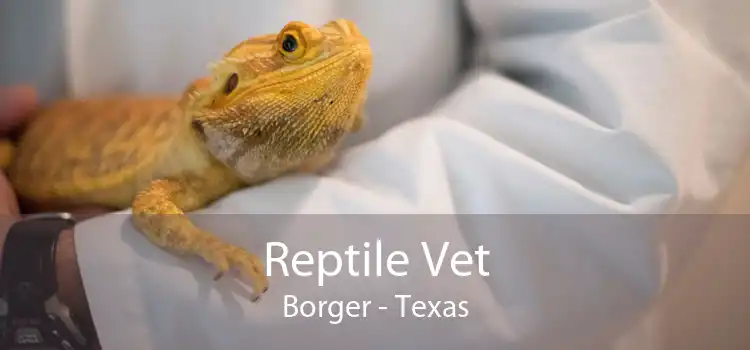 Reptile Vet Borger - Texas