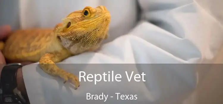 Reptile Vet Brady - Texas