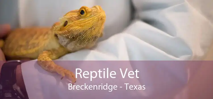 Reptile Vet Breckenridge - Texas