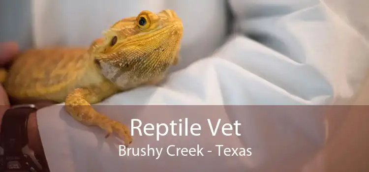 Reptile Vet Brushy Creek - Texas