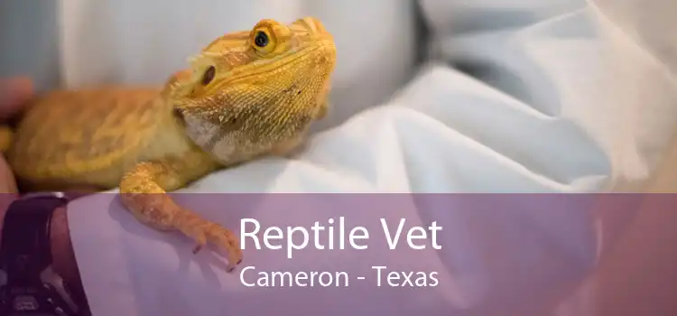 Reptile Vet Cameron - Texas