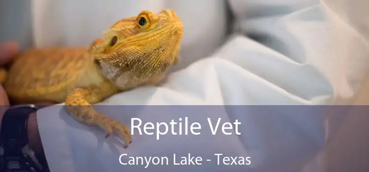 Reptile Vet Canyon Lake - Texas