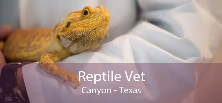 Reptile Vet Canyon - Texas