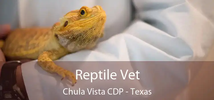 Reptile Vet Chula Vista CDP - Texas