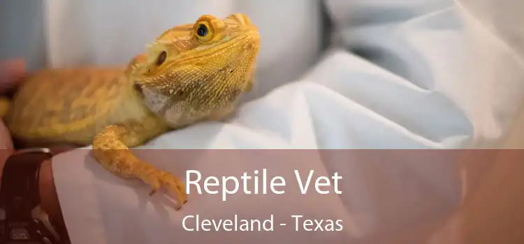 Reptile Vet Cleveland - Texas