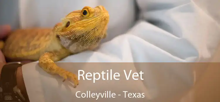 Reptile Vet Colleyville - Texas