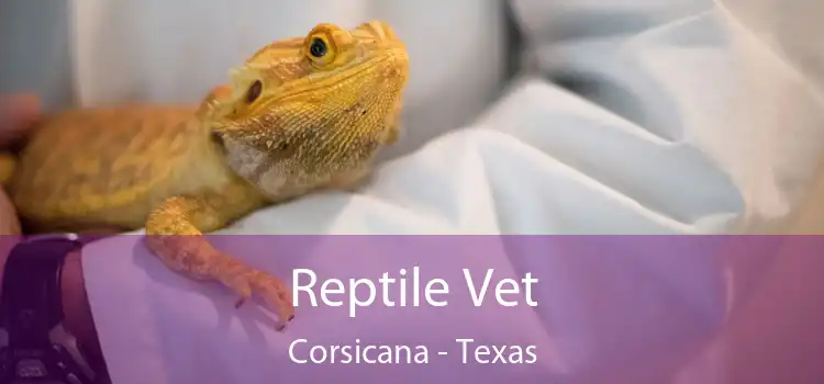 Reptile Vet Corsicana - Texas