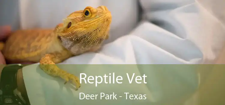 Reptile Vet Deer Park - Texas