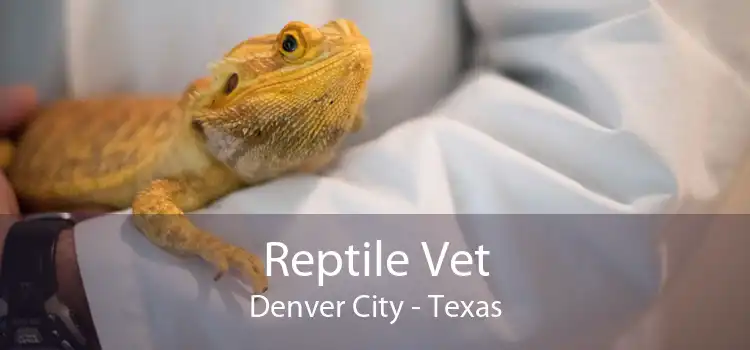 Reptile Vet Denver City - Texas