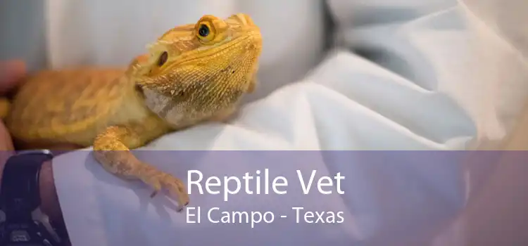 Reptile Vet El Campo - Texas