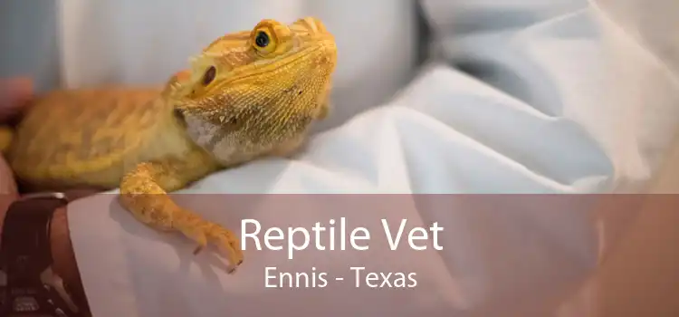 Reptile Vet Ennis - Texas