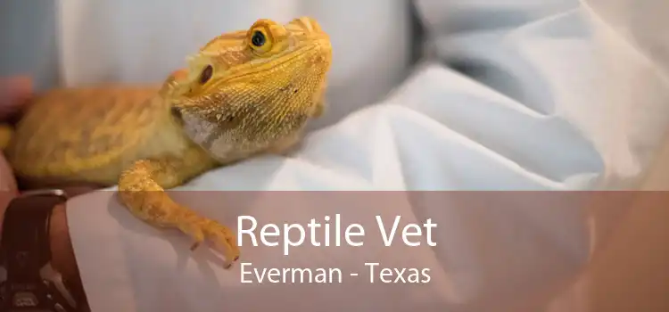 Reptile Vet Everman - Texas