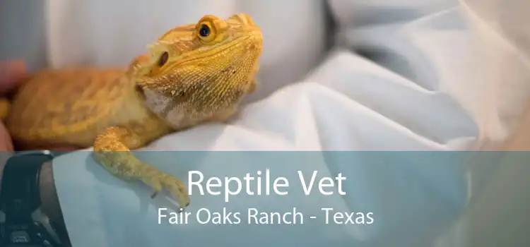 Reptile Vet Fair Oaks Ranch - Texas