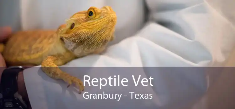 Reptile Vet Granbury - Texas