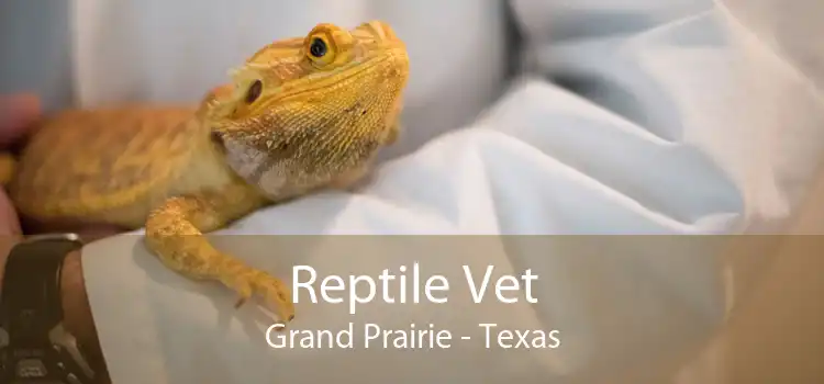 Reptile Vet Grand Prairie - Texas