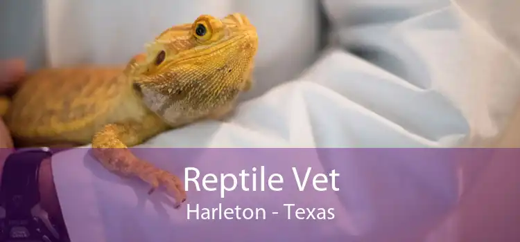 Reptile Vet Harleton - Texas