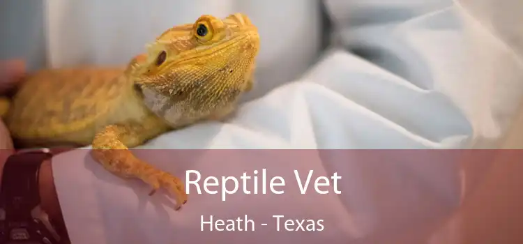 Reptile Vet Heath - Texas